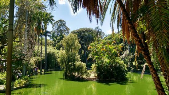 Parque Municipal Americo Renee Giannetti